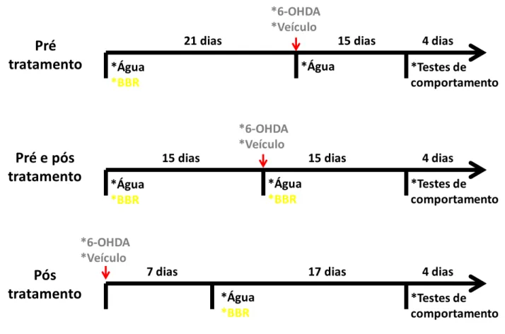 Figura 08  –  Desenho experimental da fase 2 do estudo: protocolos pré-tratamento, pré  e pós-tratamento e pós-tratamento