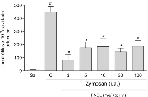 Figura 4 - Efeito do tratamento com FNDL sobre o influxo de neutrófilos à cavidade articular de  ratos submetidos à indução da artrite por zymosan (AZy)