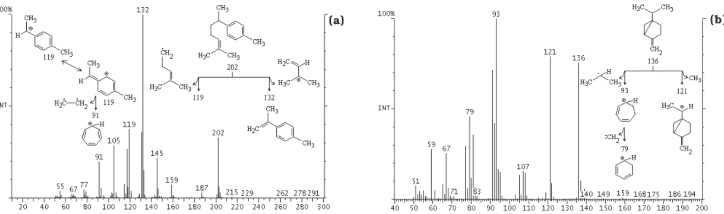 FIGURA 4. Espectro de massa e possíveis fragmentos (a) do ar-curcueno e (b) do sabineno obtidos na espectrometria de massa.