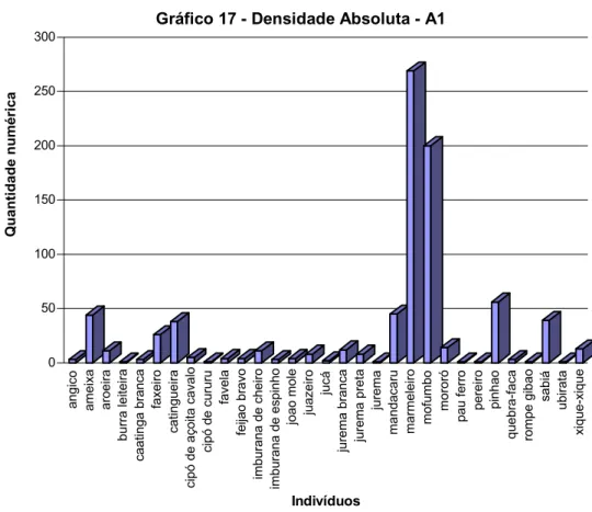 Gráfico 17 - Densidade Absoluta - A1