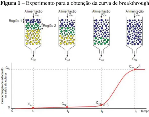 Figura 1  –  Experimento para a obtenção da curva de  breakthrough 