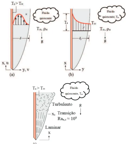 Figura 11. Desenvolvimento da camada limite em uma placa vertical, aquecido: (a) perfil de  velocidade na camada limite para a posição x