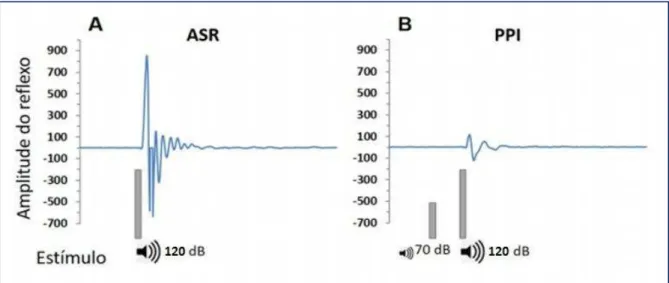 FIGURA  9.  Esquema  de  registro  da  amplitude  do  reflexo  auditivo  de  sobressalto  (ASR)  e  da  amplitude  de  sobressalto  após  inibição  por  estímulo  prévio  (PPI)