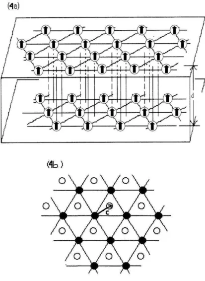 Figura 4: (a) Duas redes hexagonais, em princ´ıpio, deslocadas uma em rela¸c˜ao a outra (SAV) e separadas por uma distˆancia d