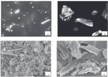 FIGURA 4. Microscopia óptica: a) cristais de licopeno natu- natu-ral sob luz polarizada, b) cristais de licopeno sintético sob luz polarizada