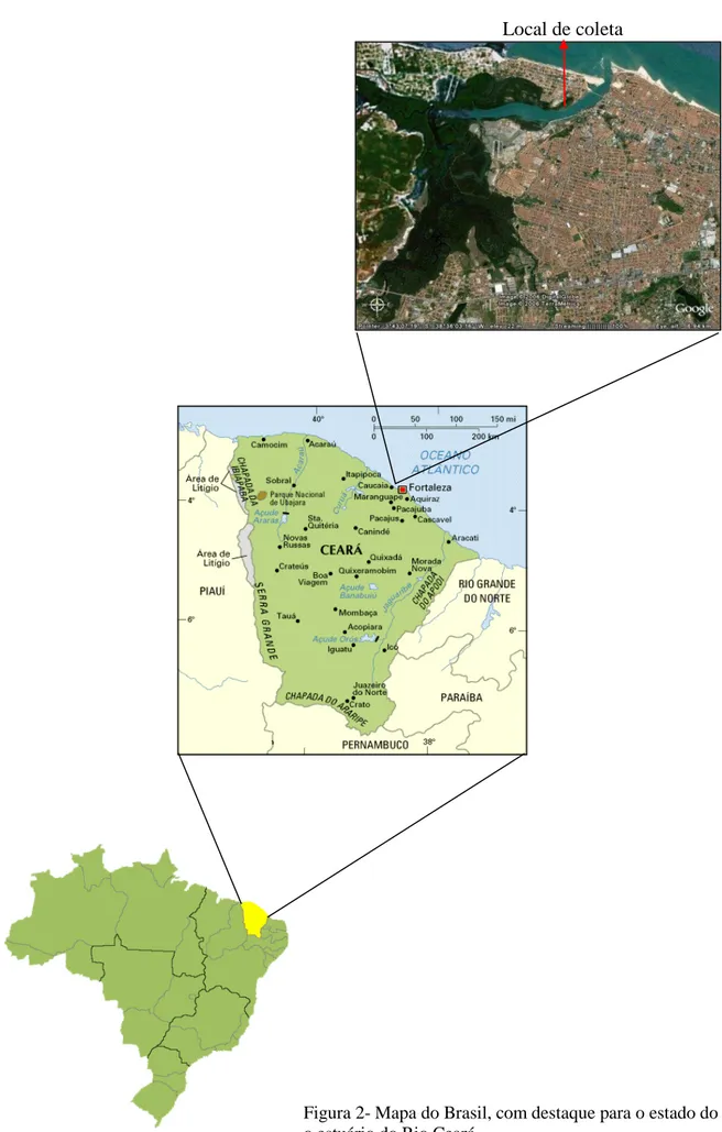Figura 2- Mapa do Brasil, com destaque para o estado do Ceará  e  o estuário do Rio Ceará  
