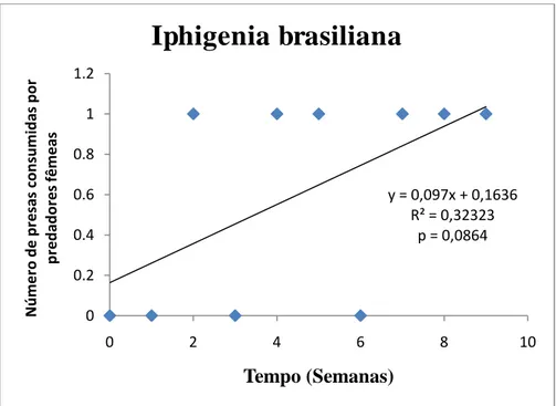Figura 12 - Variação do número de presas, Iphigenia brasiliana consumidas por P. morio (fêmeas) em  9 semanas