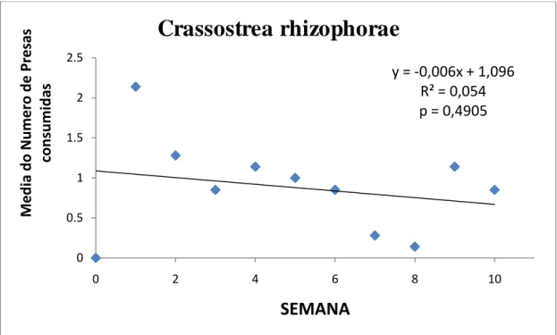 Figura 15 - Variação média do número de indivíduos de Crassostrea rhizophorae consumidos por  Pugilina morio em 10 semanas de experimento