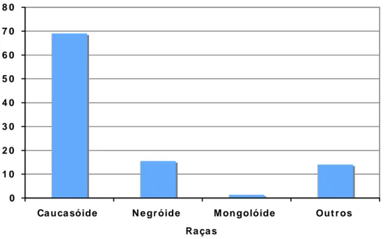 Gráfico 2: Distribuição da raça dos voluntários doadores das amostras de  fibroblastos utilizados para a avaliação dos polimorfismos no gene do EGFR