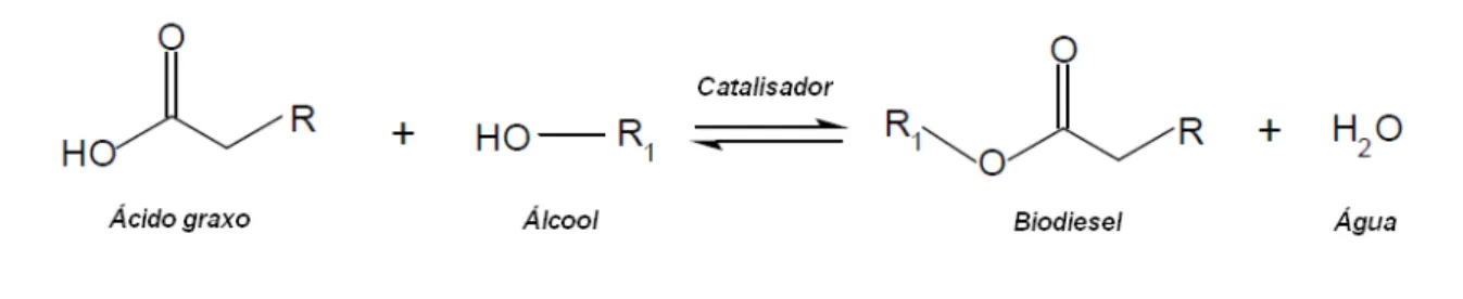Figura 2 - Reação de esterificação de ácidos graxos.
