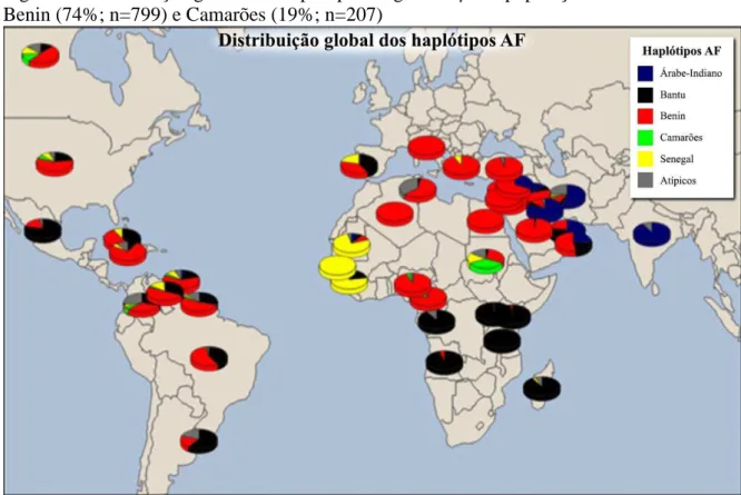 Figura 7  –  Distribuição global dos haplótipos da globina  S  na população com AF.  