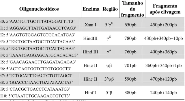 Tabela 1  –  Enzimas de restrição utilizadas para a detecção de haplótipos do  cluster  do  gene  S , regiões de sítios polimórficos, tamanho dos fragmentos de DNA antes e após a  clivagem 