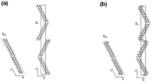 Figura 8: Polimorfos do cristal de AE na conforma¸c˜ao all-trans para a forma E em (a) e, conforma¸c˜ao gauche para a forma B m em (b)