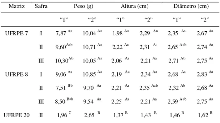 FIGURA 1. Frutos das matrizes estudadas. Da esquerda para a direita:  3  frutos  UFRPE  8;  4  frutos  UFRPE  20  e  3  frutos UFRPE 7.