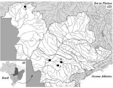 FIGURA 1. Bacia Hidrográfica Brasileira (I) e Bacia Platina (II).