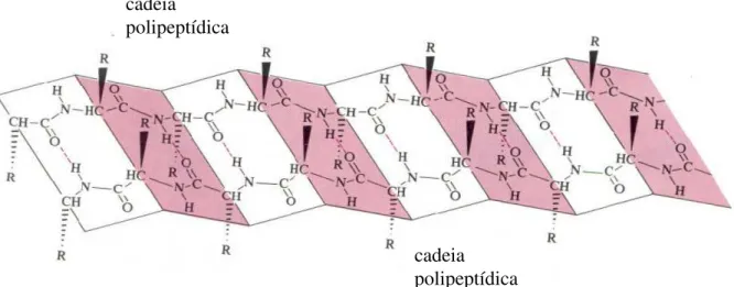 FIGURA  2.20  -  Formação  em  lâminas  ou  placas  pregueadas.  As  cadeias  polipeptídicas  se  estendem  paralelamente formando ziguezague 