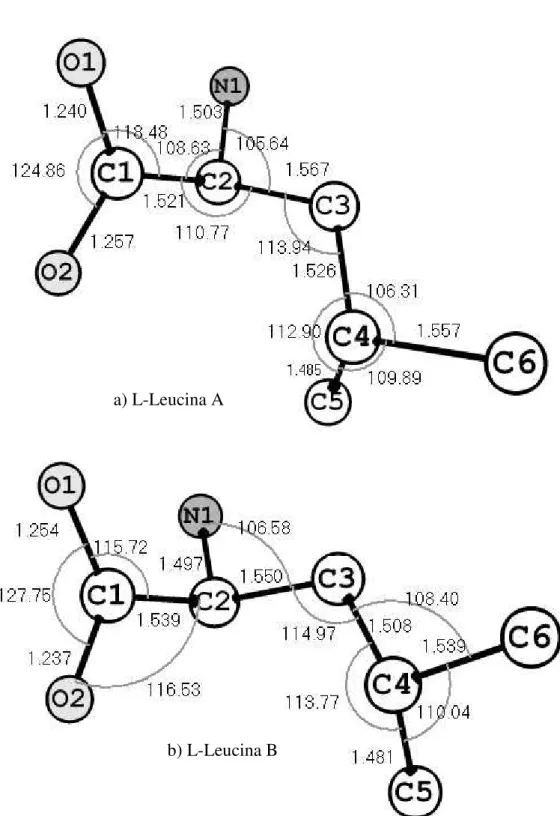 FIGURA  4.5  -  As  duas  diferentes  conformação  das  moléculas  de  L-Leucina.  a)  Conformação  gauche  1  (A)  mostrando  os  ângulos  e  distâncias  intramoleculares