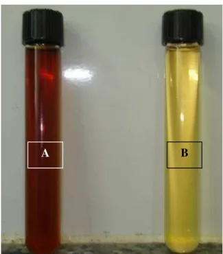 Figura 4.1.: Xarope de Caju diluído (a) bruto e (b) purificado. 
