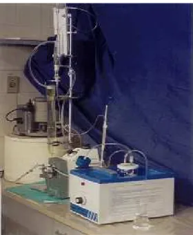 FIGURA 18: Sistema de perfusão de rim Isolado com recirculação