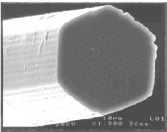 Figura 2.6 Foto de microscópio da primeira PCF fabricada [33]. 