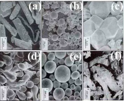 Figura  1  -  Ilustração  das  diversas  formas  de  partículas:  a)  Fibroso;  b)  Dendrítico;  c)  Poligonal;  d)  Arredondado; e) Esférica; f) Irregular 