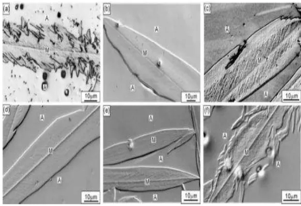 Figura 7- Imagens da fase martensita presente em ligas Fe-Ni-Co. 