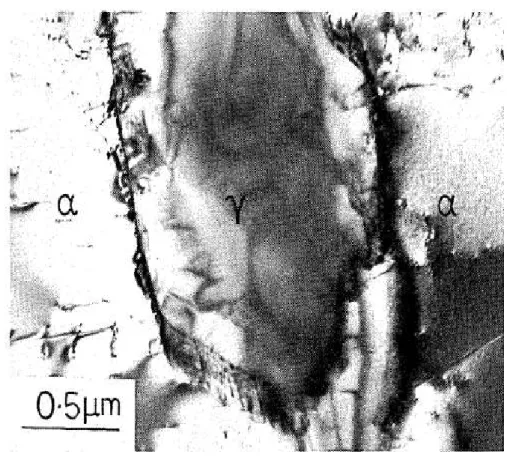 Figura 10 - Micrografia de grãos de ferrita α e austenita γ em ligas Fe-18%Ni-0,5Cr. 
