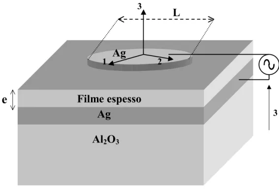 Figura 4.1- Geometria do filme, dos eletrodos e as coordenadas retangulares indicadas para  obtenção das medias dielétricas