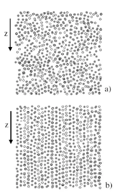 Figura 4: Os resultados de simula¸c˜ ao computacional para um l´ıquido bin´ario bidimensional de Yukawa