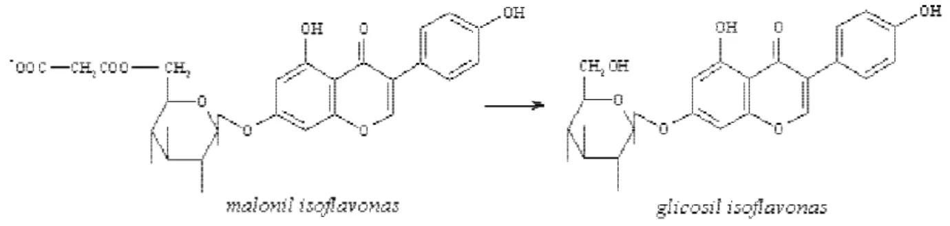 FIGURA 1. Desesterificação de malonil-β-glicosil isoflavona à β-glicosil isoflavona.