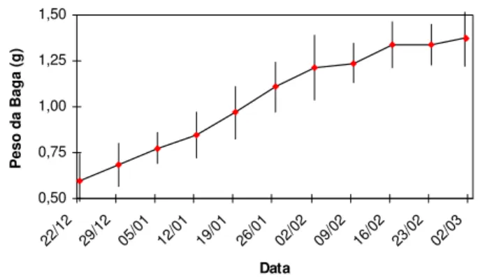 FIGURA 1.  Evolução do peso da baga durante a maturação da uva Cabernet Sauvignon. Média e desvios padrões das safras de 1987 a 1992.