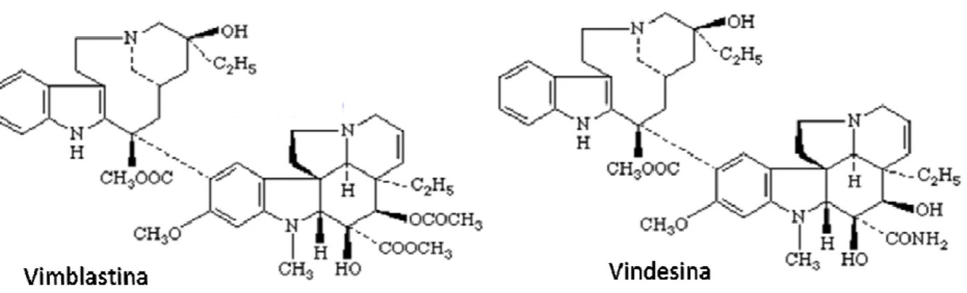 Figura 8: Estruturas da vimblastina e do seu derivado vindesina 