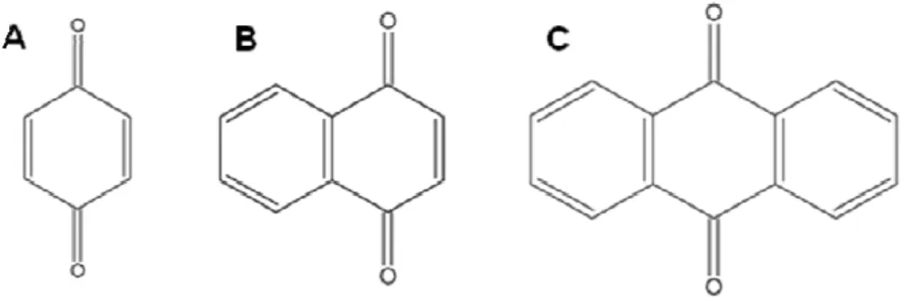 Figura  11:  Estruturas  dos  principais  grupos  de  quinonas:  benzoquinona  (A),  naftoquinona  (B) e antraquinona (C) 