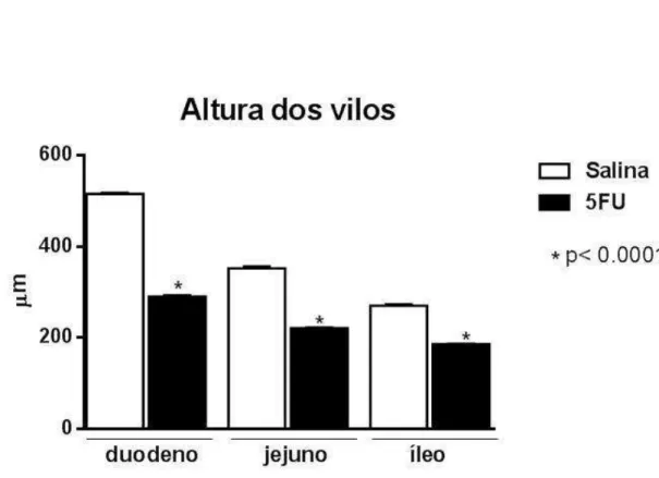 Figura 15: Avaliação morfométrica da altura dos vilos no intestino delgado (duodeno,  jejuno  e  íleo)  de  camundongos  desafiados  pelo  5-FU