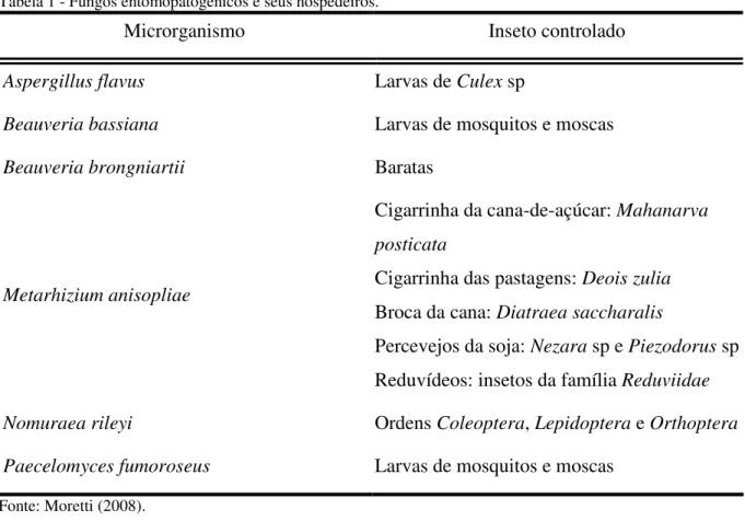 Tabela 1 - Fungos entomopatogênicos e seus hospedeiros. 