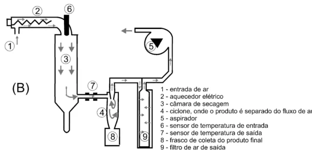 Figura 1 - Desenho esquemático do “spray dryer” com fluxo de secagem concorrente. 