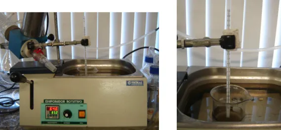 Figura  4  -  Sistema  utilizado  para  a  realização  do  experimento  para  avaliação  da  capacidade  calorífica  dos  encapsulantes