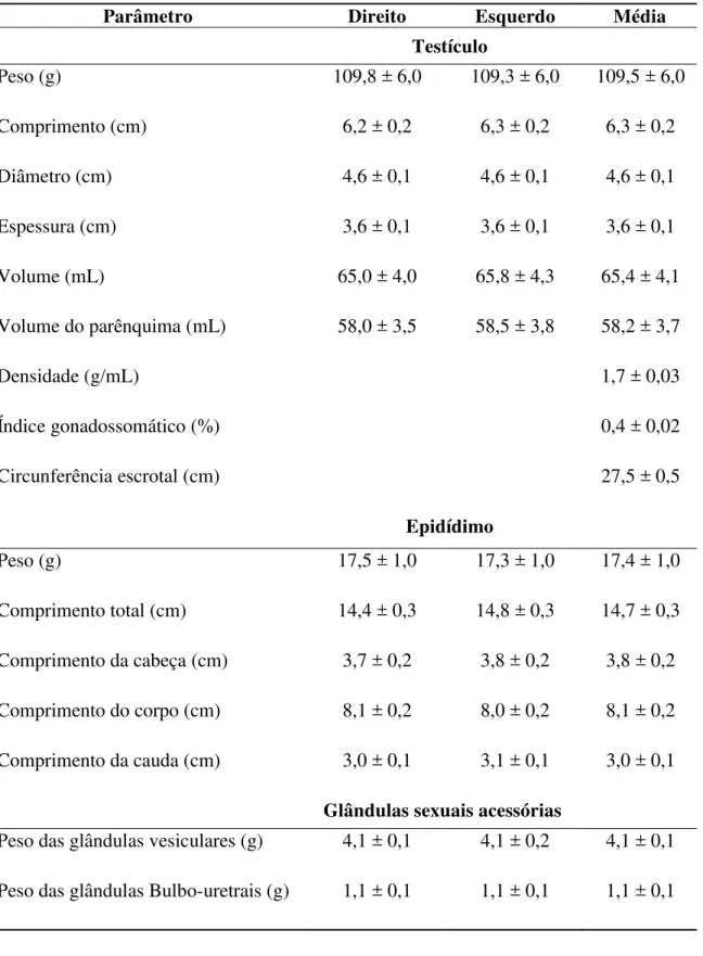 Tabela 1. Biometria testicular, epididimária e das glândulas sexuais acessórias de ovinos da  raça Morada Nova (média ± erro-padrão da média)