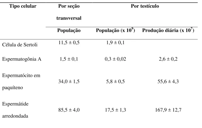 Tabela  4.  Número  por  seção  transversal  e  por  testículo  e  produção  diária  de  células  germinativas de ovinos da raça Morada Nova