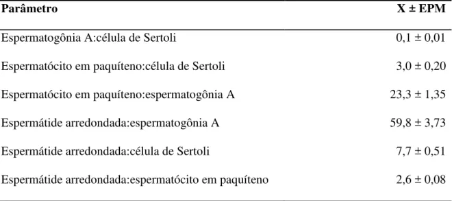 Tabela 5. Proporções celulares entre diferentes tipos de células germinativas e células de  Sertoli em ovinos da raça Morada Nova (média ± erro-padrão da média)