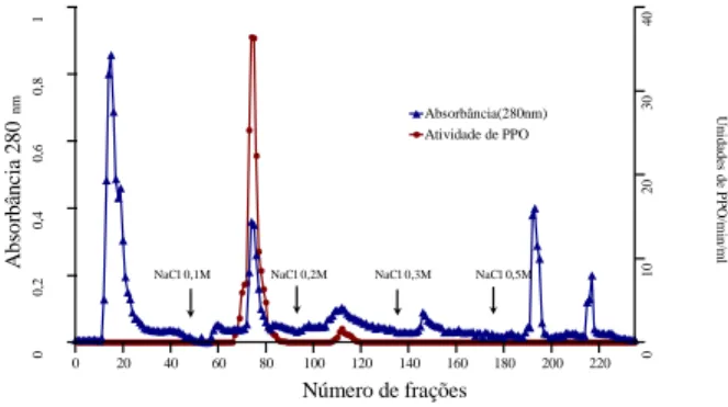 FIGURA 2. Cromatografia da Fração-I da PFO de polpa de pi-