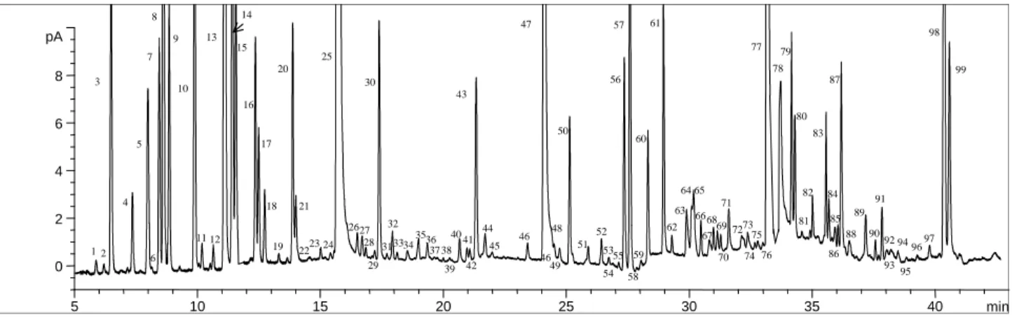 FIGURA 1. Cromatograma típico do “headspace” das amostras de café A degradação de Strecker leva à formação de  vá-rios compostos reportados como importantes na  for-mação do aroma, tais como 2-metil e o 3-metilbutanal (compostos 14 e 15), que são perceptív
