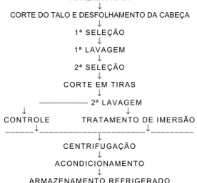 FIGURA 1. Fluxograma das etapas de processamento de alfa- alfa-ce minimamente proalfa-cessada.