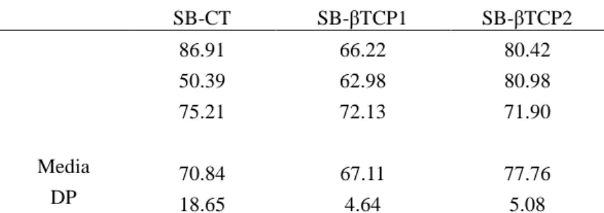 Table 2 - BET data analyses.