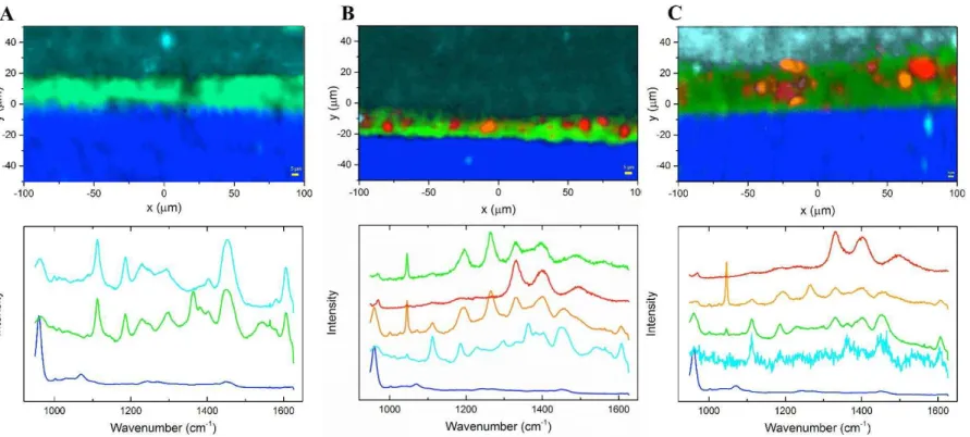Figure 4 - Representative Raman spectra and mapping images were processed at the cross-section interface for all groups; 4A) SB-CT control  group