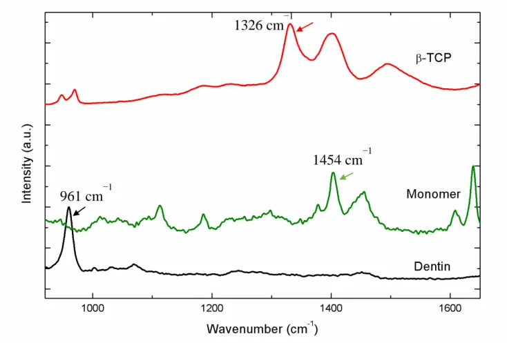 Figure 5 - Representative Raman spectra of pure materials are shown. All spectra were recorded in  the  region  of  700  and  1.900  cm -1 