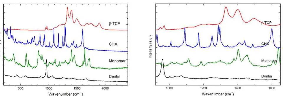 Figure 4 - Representative Raman spectra of pure materials are shown. The principal Raman active peaks associate with each pure material were to mineral  composed dentin, 961 cm −1  was assigned to dentin mineral phosphate; to the adhesive monomer were assi