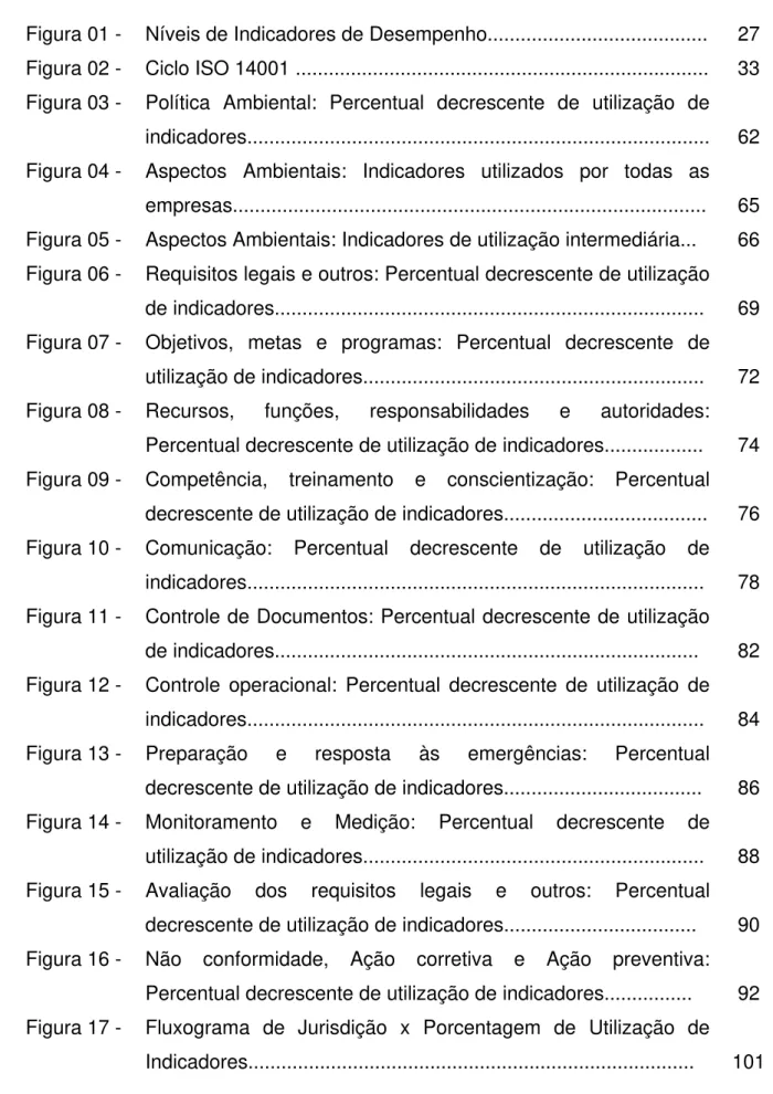 Figura 01 -  Níveis de Indicadores de Desempenho.......................................