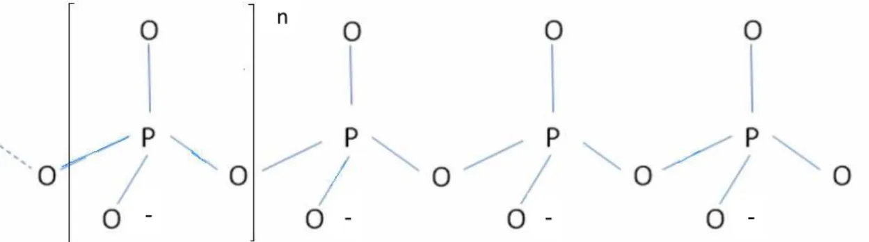 FIGURA 1. Estrutura química do polifosfato com grau de polimerização n.  