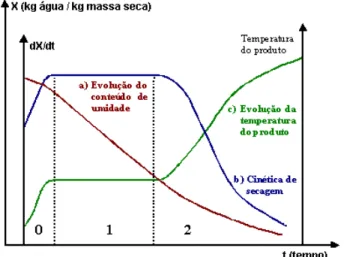 FIGURA 1. Curvas típicas de secagem.